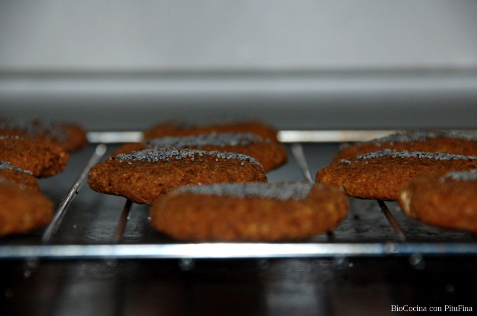 DSC_0050_phixr_membrete